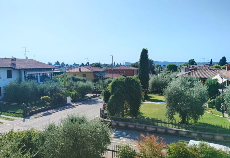 WEB1