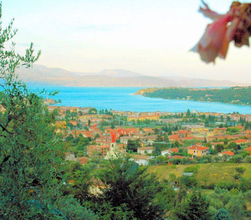 vista